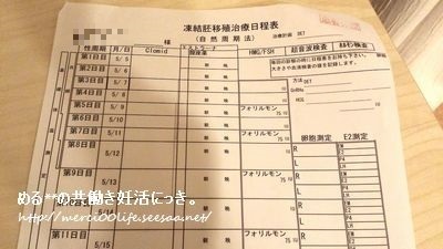 seesaaブロ記事148.jpg